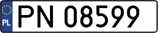 PN08599
