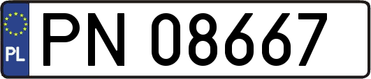 PN08667