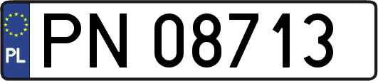 PN08713