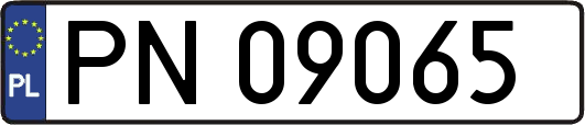 PN09065