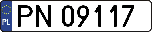 PN09117