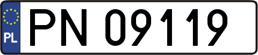 PN09119