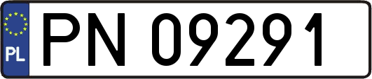 PN09291