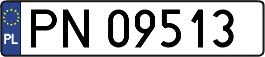 PN09513