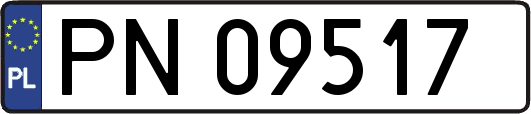 PN09517