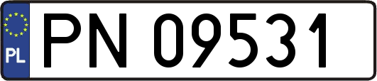 PN09531