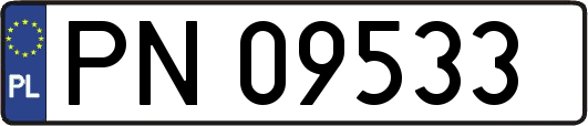 PN09533