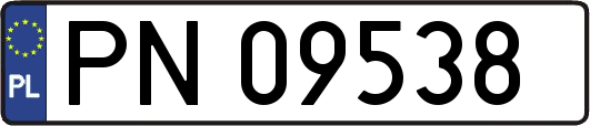 PN09538