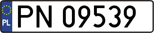 PN09539