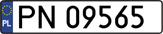 PN09565