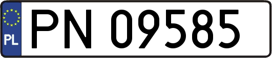 PN09585