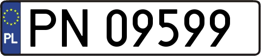 PN09599
