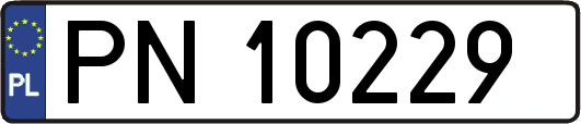 PN10229