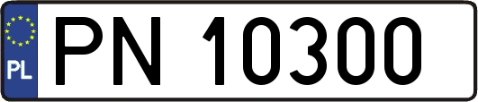 PN10300