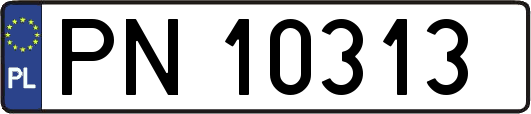 PN10313