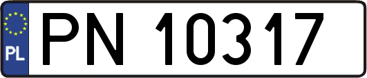 PN10317
