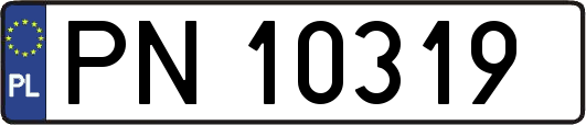 PN10319