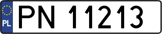 PN11213