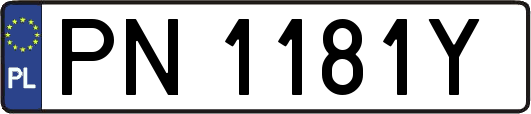 PN1181Y