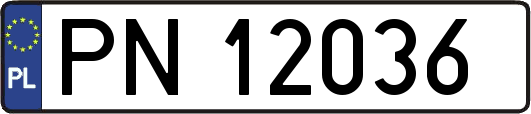 PN12036