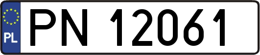 PN12061