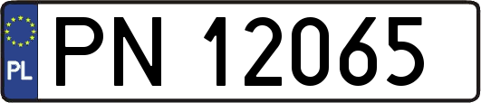 PN12065