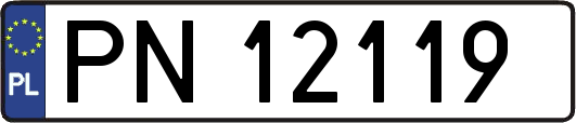 PN12119