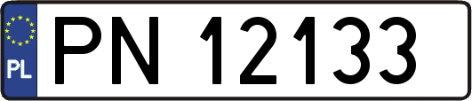 PN12133