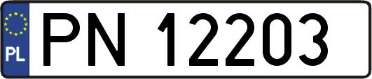 PN12203