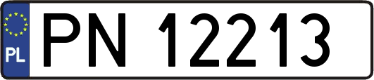 PN12213