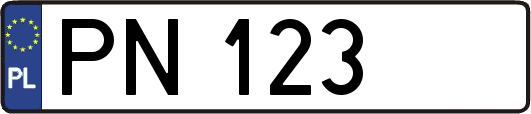 PN123