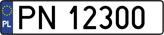 PN12300