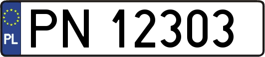 PN12303