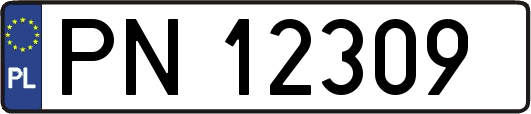 PN12309