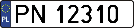 PN12310