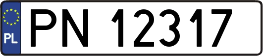 PN12317