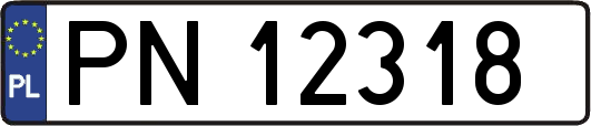 PN12318