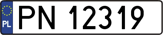 PN12319