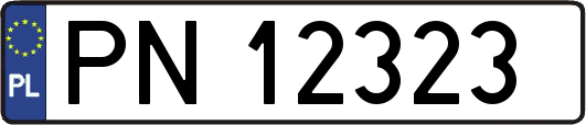 PN12323