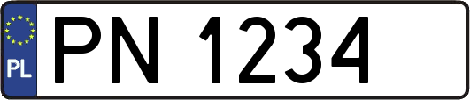 PN1234