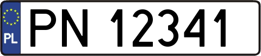 PN12341