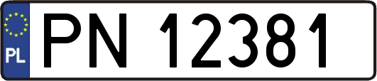 PN12381