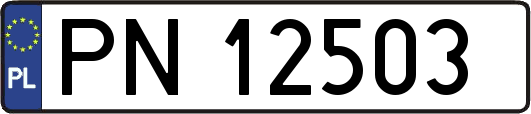 PN12503