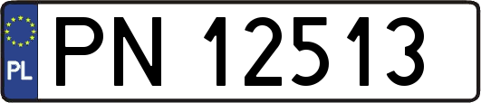 PN12513