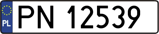 PN12539