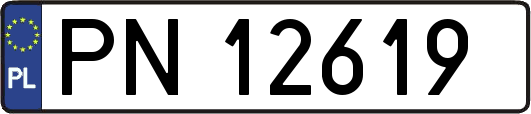 PN12619