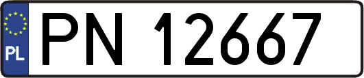 PN12667