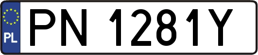 PN1281Y