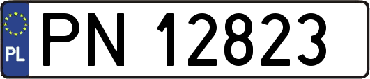 PN12823