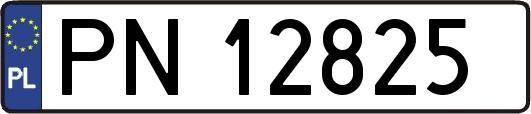 PN12825